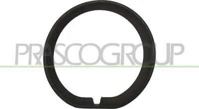 Produktbild von PRASCO Zierleiste Stoßfänger Vorne Links für MINI Countryman (F60)