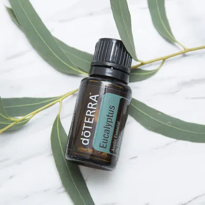 Produktbild von doTERRA Eukalyptus 15ml