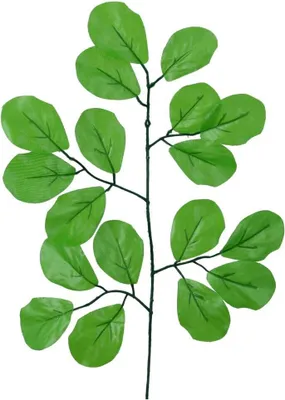 Produktbild von Dekolo Künstliche Pflanzen Grünpflanzen Blätter für Blumenstrauß Zweig für Vase 44cm 12St.