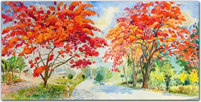 Produktbild von Coloray Bild aus Acryl 140 cm x 70 cm - Gehärtetes Acryl Bild auf Acrylglas Wohnzimmer Küche Dekoration Wanddekoration - Bäume Himmel Blumen Straße