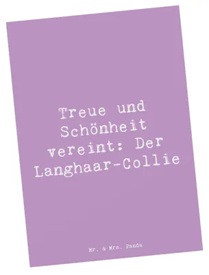 Produktbild von Mr. & Mrs. Panda Postkarte Spruch Langhaar Collie - Lavendeltraum - Geschenk, Hunderasse, Ansichtskarten, Hunderassen Charakter, prachtvolles Haar, Ansichtskarte, Hund