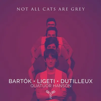 Produktbild von Not All Cats Are Grey