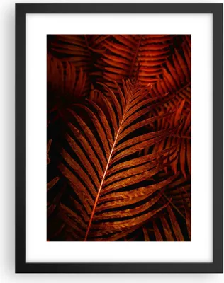 Produktbild von Gerahmtes Poster - Schwarzer Rahmen - Rot Blätter Palmen - 30x40 cm - Wand Bild - Wanddeko - Wandbilder - Kunstposter - Wandposter - Bilderrahmen - Bilder - Kunstdruck - P2BPA30x40-4816