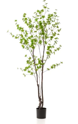 Produktbild von Green boutiQ - Kunstpflanze - Tropaeolum Speciosum - Oost Indische Kers - 210 cm - Grün - Pflegeleicht - Hohe Qualität