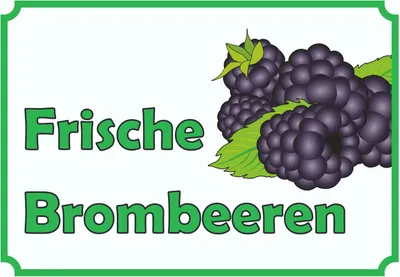 Produktbild von Verkaufsschild Schild Brombeeren A0 Rückseite selbstklebend