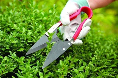 Produktbild von Kompakter Rasenmäherrohr rot 300 mm* 2550 mm* 850 mm - Rasenmäher, Gartenpflege