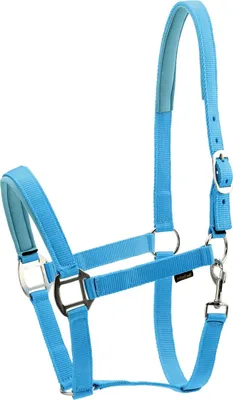 Produktbild von Horse Guard Nylonhalfter für Pferde - türkis - Shetty