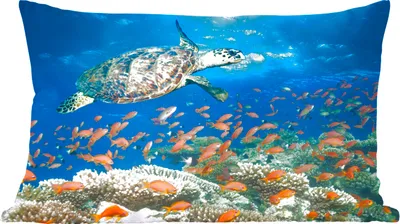 Produktbild von MuchoWow® Zierkissen Sofakissen Wohnzimmer Dekokissen 60x40 cm Korallenriff mit Schildkröte - Kopfkissen - Polster mit Foto