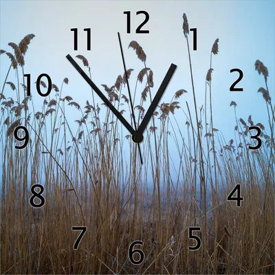 Produktbild von Wallario Design Wanduhr Schilfrohr am See vor blauem Himmel aus Echtglas, Größe 30 x 30 cm