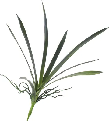 Produktbild von artplants.de Künstliche Orchideenblätter Oncidium, Luftwurzeln, grün, 25cm, Ø 45cm - Künstliche Orchidee - Deko Blätter