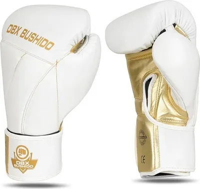 Image de Gants de boxe DBX BUSHIDO B-2v19 14oz