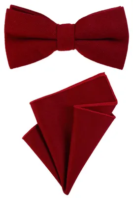 Produktbild von DonDon Herren Fliege 12 x 6 cm gebunden längenverstellbar und Einstecktuch 23 x 23 cm farblich passend aus Baumwolle dunkelrot