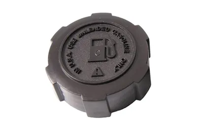 Zdjęcie produktu dla Korek wlewu paliwa do kosiarki Briggs & Stratton B&S Europe Max Quantum 397974 493017
