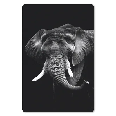 Produktbild von MuchoWow® Mauspad Mousepad Elefant vor schwarzem Hintergrund - schwarz und weiß 18x27 cm - Mousepads - Maus Mat - Pad - Mausunterlage