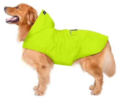 Produktbild von Regenmantel für Hunde mit Kapuze und reflektierenden Streifen