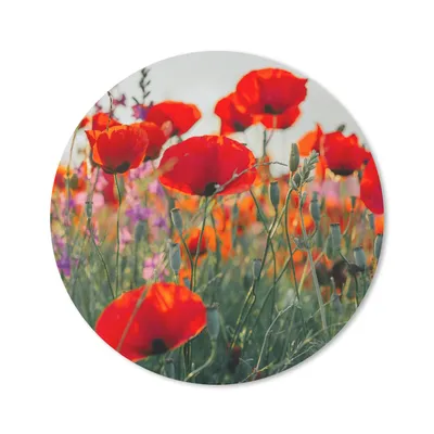Produktbild von MuchoWow® Mauspad Mousepad Mohn - Blumen - Rot - Lila - Wiese 20x20 cm - Mousepads - Maus Mat - Pad - Mausunterlage - Schreibtischmatte