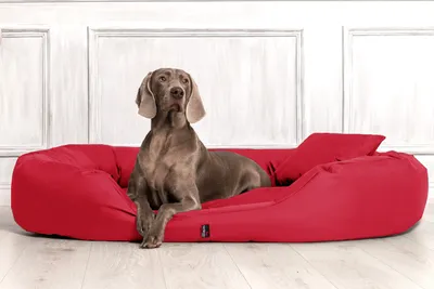 Produktbild von tierlando Hundebett SAMMY Komfort-Matratze Robuster Polyester Dicke Umrandung - Größe: 170x110cm | Farbe: 04 Dunkelrot