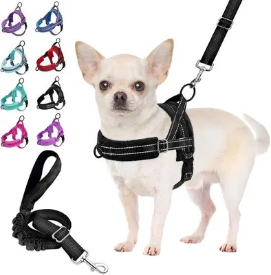 Produktbild von Famanu Hundegeschirr mit Leine - Verstellbar und gepolstert für kleine Hunde