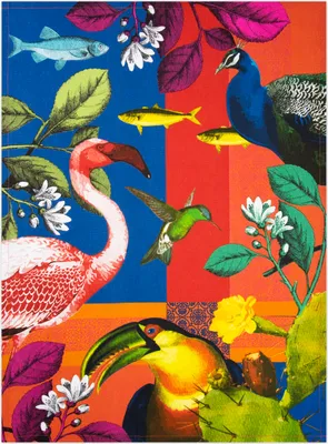 Immagine prodotto di Strofinaccio Excelsa in cotone Rhapsody 50x70 cm Colorato