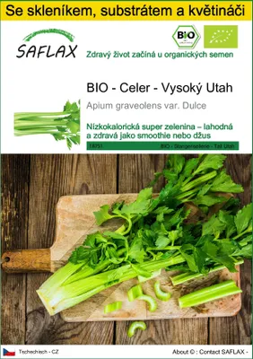 Obrázek produktu pro SAFLAX Kultivační sada - BIO - Celer - Vysoký Utah - Apium graveolens var. Dulce - 500 Semena - S mini skleníkem, pěstebním substrátem a 2 květináči