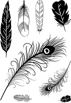 Produktbild von Clear Stamps "Federn", 8-teilig