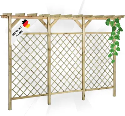 A wooden pergola structure with a lattice design, featuring a climbing plant on one side and a German quality mark.