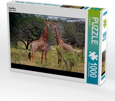Produktbild von Calvendo Giraffen 1000 Teile Puzzle quer 640x480mm, boeTtchEr U; 7327919