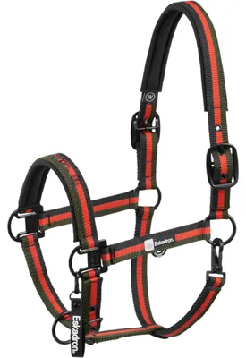 Immagine prodotto di Dynamic Halfter doppio pin 291 nero-rosso-verde WB