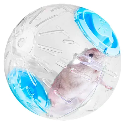 Image de Roue d'exercice pour hamsters, 18 cm, transparente, roue de fitness pour hamsters, en plastique, idéale pour l'exercice des petits animaux