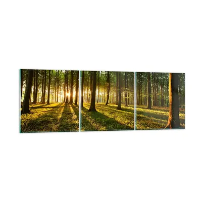 Produktbild von Bilder auf glas - Wald grün Sonnenstrahlen Natur - 150x50cm - Glasbilder - Wandbilder - Kunstdruck - zum Aufhängen bereit - Wanddekoration aus Glas - Glas Bilder - Wandbild auf Glas - GCA150x50-2510