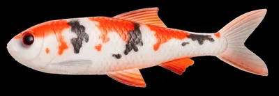 Produktbild von Pulz Bait Roach Kit (Koi Carp)