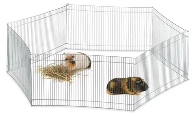 Zdjęcie produktu dla Wybieg dla gryzoni - Srebrny - 6 paneli - 27 cm wysokości - Dla świnek morskich i innych gryzoni