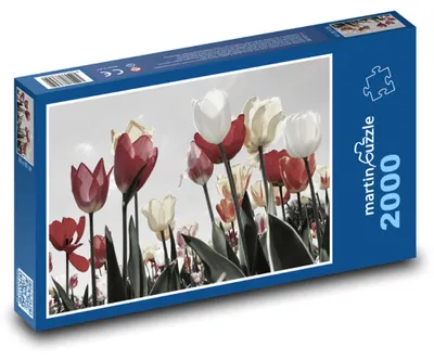 Produktbild von martinpuzzle - Puzzle 2000 Teile - Tulpen.