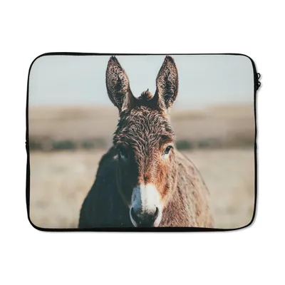 Produktbild von MuchoWow® Laptop Hülle 15 Zoll Esel - Porträt - Tier Laptoptasche - Laptoptasche - Sleeve - Rundum-Schutz