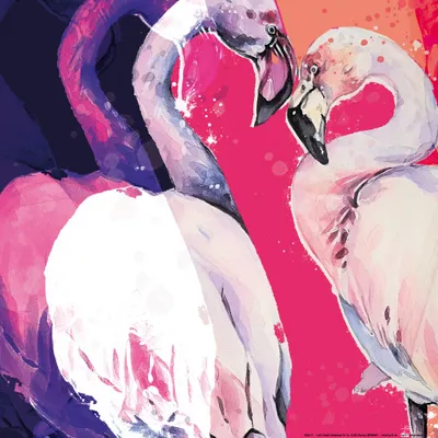 Produktbild von Flamingos Kunstdruck Bild - Flamingo Love (40 x 40 cm)