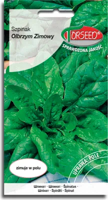 Zdjęcie produktu dla Nasiona Szpinak Olbrzym Zimowy 10g - Torseed