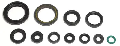 Obrázok produktu pre Athena Motorsirisatz Crf 250R, 04-10, Athena
