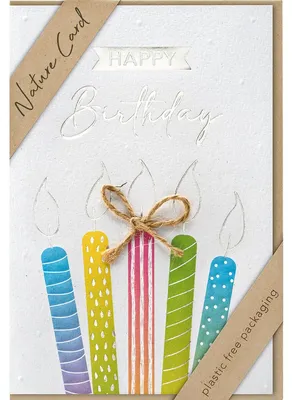 Produktbild von bsb 6930172 Geburtstagskarte - Natur Card, inkl. Umschlag