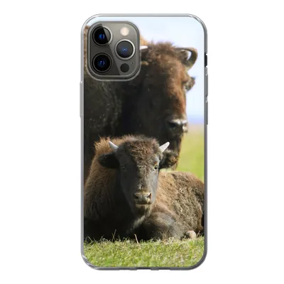Produktbild von MuchoWow® Handyhülle Schutzhülle Hülle für iPhone 12 Pro Büffel - Gras - Kalb Silikon Softcase Handy Hülle - Abdeckung