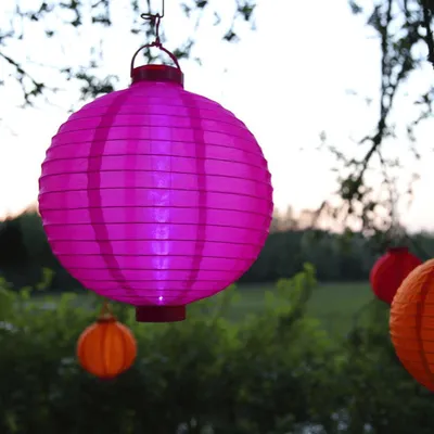 Immagine prodotto di Best Season LED-Solarlampion, 1 LED a luce fredda, ca. 30 x 20 cm Farbe pink, mit Solarpanel, incl. Akku, ,outd., 479-17