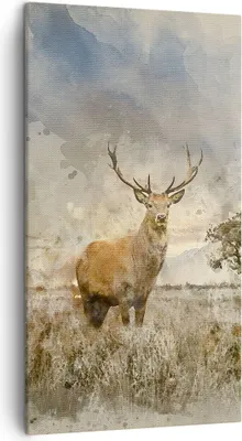 Produktbild von Bild auf Leinwand - Leinwandbild - rotwild natur - 45x80cm - Wand Bild - Wanddeko - Wandbilder - Leinwanddruck - Bilder - Kunstdruck - Wanddekoration - Leinwand bilder - Wandkunst - PA45x80-3465