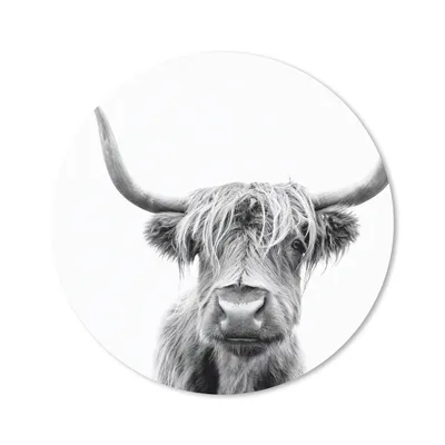 Produktbild von MuchoWow® Mauspad Mousepad Schottischer Highlander - Schwarz - Weiß - Tiere 40x40 cm - Mousepads - Maus Mat - Pad - Mausunterlage - Schreibtisch Accessoires