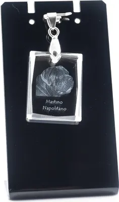 Image de Mastiff napolitain - Pendentif en cristal avec chien, collier avec photo, bijoux uniques d'Art-Dog