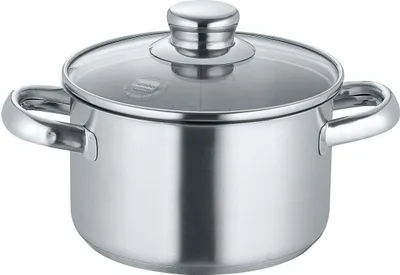A stainless steel cooking pot with a glass lid and handles, shown from a front-side angle against a white background.