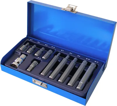 Image de Jeu de tournevis Jeu d'embouts 12 pans XZN VIELZAHN (M5 M6 M8 M10 M12) 11 pcs.
