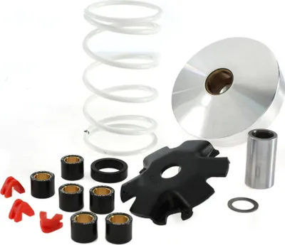 Produktbild von Malossi Variator Multivar kompatibel mit Kymco Super 8 4-Takt (euro 2), Gegendruckfeder: weiß, Gewichte: 16x13mm - 6,00gr