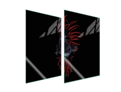 Produktbild von Herdabdeckplatten 2 teilig 35x52 Glaskeramikkochfeld Abdeckung Glas Schneidebrett Fische Schwarz