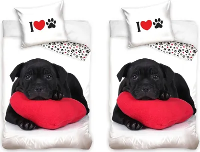 Produktbild von Labrador Retriever Hund Partner-Bettwäsche Doppelbett, 135x200 & 80x80