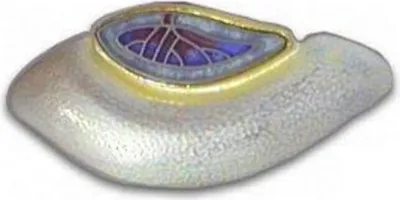 Produktbild von Brosche - Sterlingsilber Gold 750 Emaille - Unikat