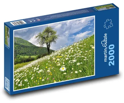 Obrázok produktu pre Puzzle 2000 Rozkvitnutá lúka - martinpuzzle